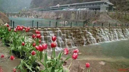 零下20摄氏度灭火，消防员被冻出冰铠甲