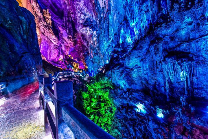 救援花栗鼠