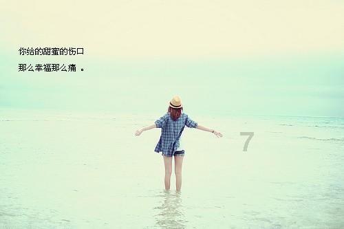 沪江开心词场