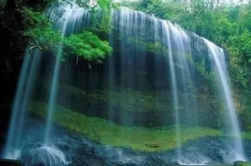 智力水滴